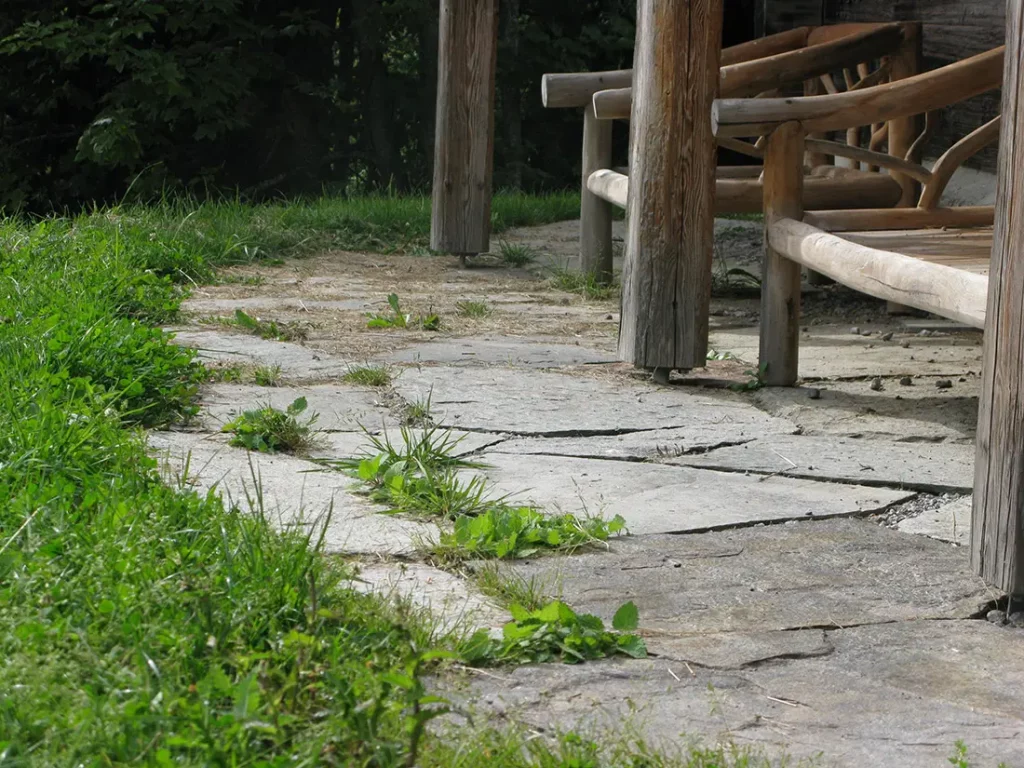 Aménagements-extérieurs , terrasse, pas japonais