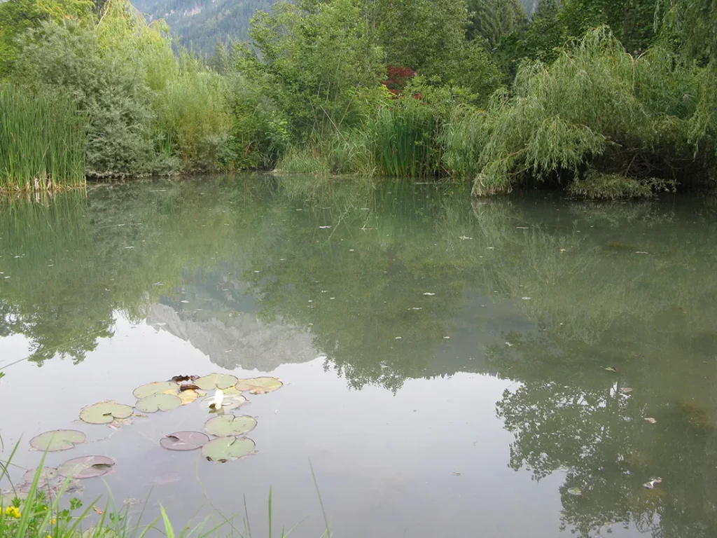 Realisation étang gryon