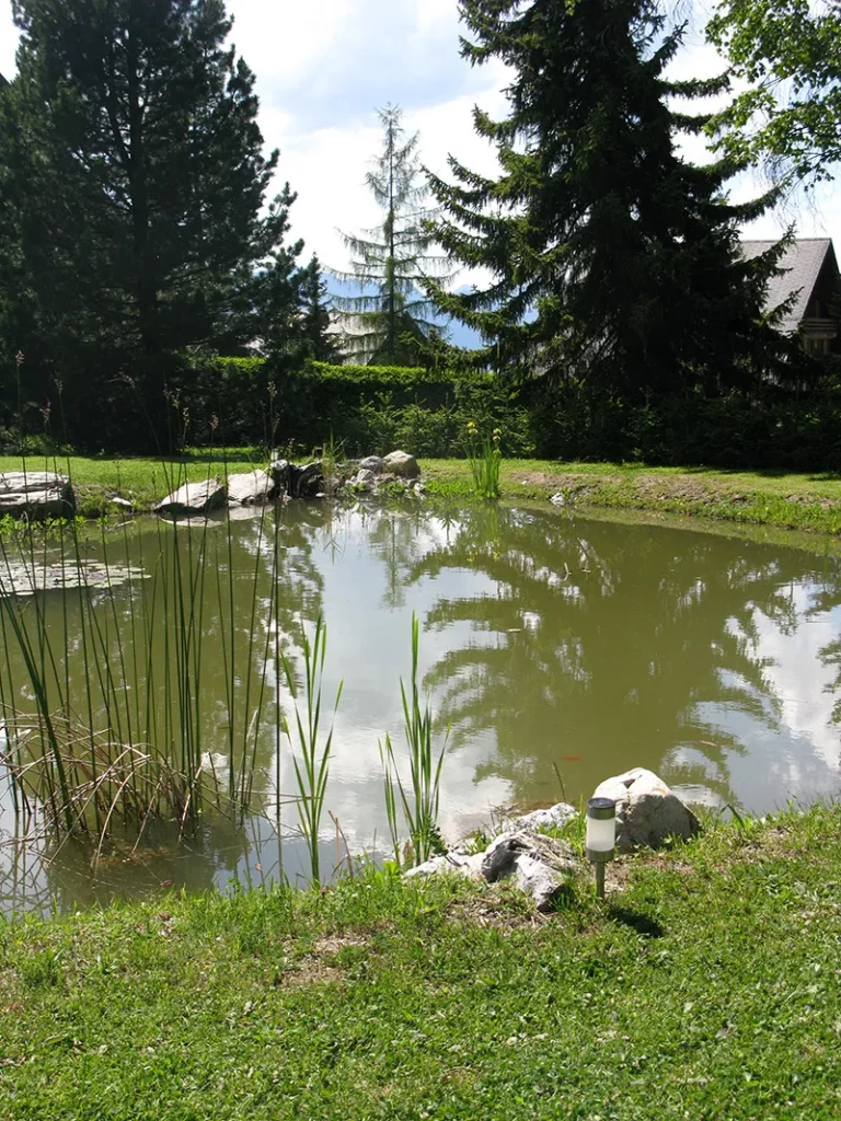 Realisation etang villars