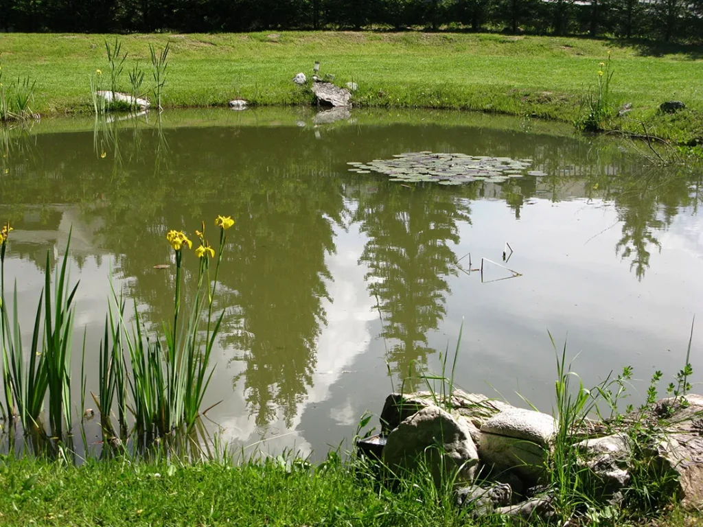 Realisation etang villars