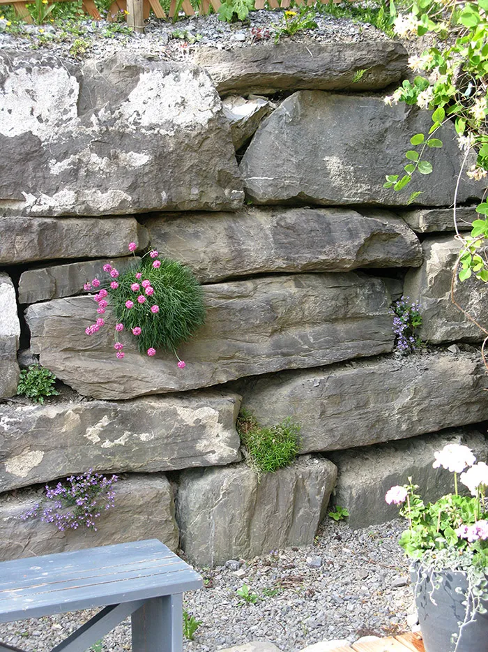 Mur en pierre - gryon